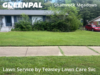 Yard Cutting nearby Raleigh, NC, 