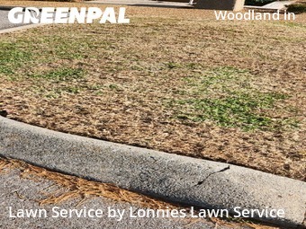 Lawn Mowing Servicein Nashville,37204,Grass Cut by Lonnies Lawn Service, work completed in Dec , 2025