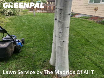 Lawn Care nearby Timnath, CO, 