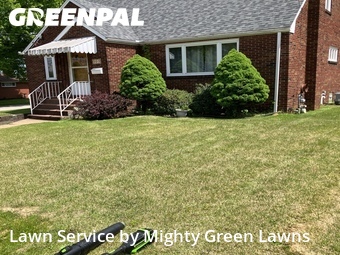 Grass Cut nearby Duquesne, PA, 