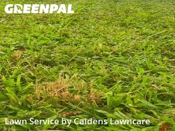 Turf Services in Greenacres, 33463, Lawn Cutting by Caidens Lawncare , work completed in Nov , 2025