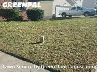 Grass Cut nearby Charlotte, NC, 