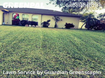 Yard Care Services in Cape Coral, 33904, Yard Work by Guardian Greenscaping, work completed in Dec , 2025