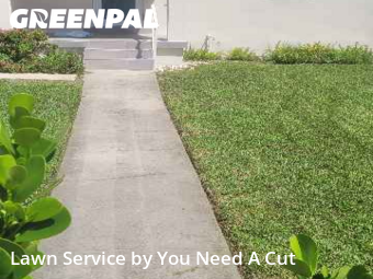 Lawn Carein Miami,33155,Lawn Maintenance by You Need A Cut , work completed in Dec , 2025