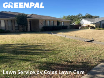 Grass Cut nearby Lewisville, TX, 