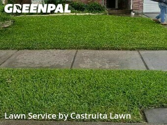 Lawn Cut nearby Pearland, TX, 
