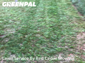 Lawn Care nearby Lansing, MI, 