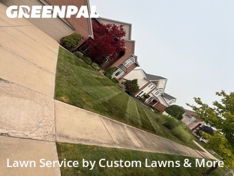 Lawn mowed in South Lyon, 48178