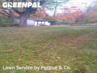 Lawn Mowing Service nearby Westerville, OH, 