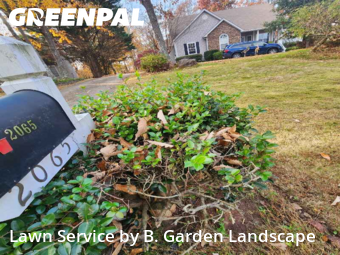 Lawn Cutin Cumming,30041,Lawn Cut by B. Garden Landscape , work completed in Dec , 2025