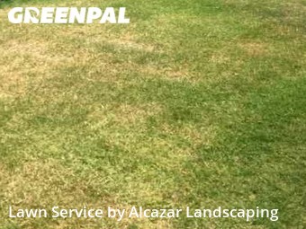 Grass Cut nearby Grand Prairie, TX, 