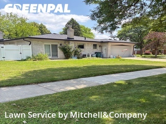 Lawn mowed in Troy, 48085