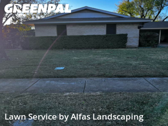 Lawn Cuttingin Richardson,75080,Lawn Mowing by Alfas Landscaping, work completed in Dec , 2025