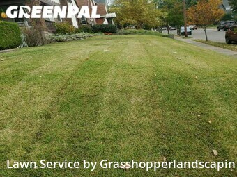 Grass Cutting nearby Cincinnati, OH, 
