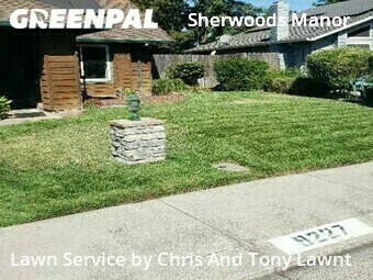 Grass Cutting nearby Stockton, CA, 