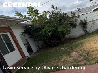 Grass Cutting nearby North Hollywood, CA, 