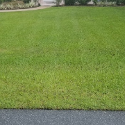 affordable-lawn-services-in-The Villages-FL