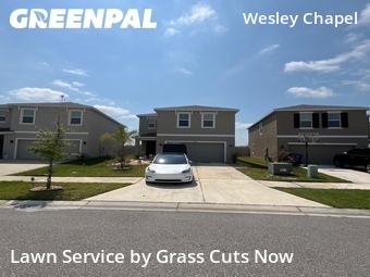 Grass Cutting nearby Wesley Chapel, FL, 