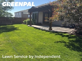 Lawn Mowing Service nearby Loveland, CO, 