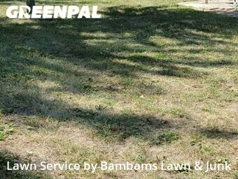 Lawn Cutting nearby Cedar Rapids, IA, 