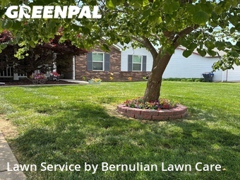 Lawn Cut nearby O'fallon, MO, 