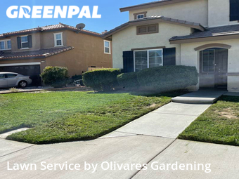 Grass Cut nearby Lancaster, CA, 