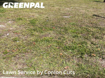 Lawn Mow nearby Bradenton, FL, 