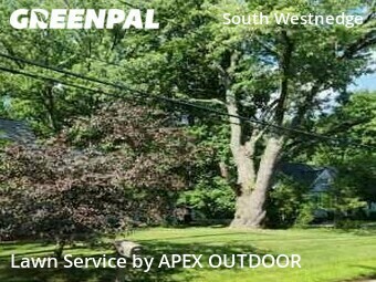 Lawn Cut nearby Kalamazoo, MI, 