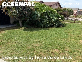 Grass Cut nearby Los Angeles, CA, 