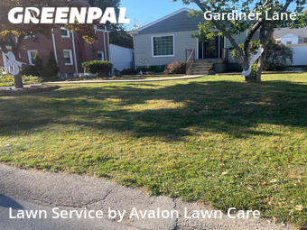Lawn Cut nearby Louisville, KY, 