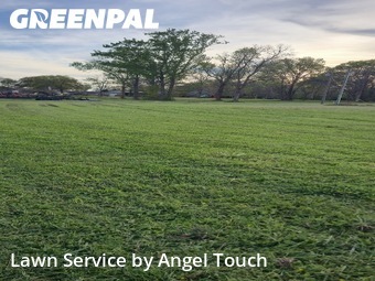 Grass Cutting nearby Lafayette, LA, 