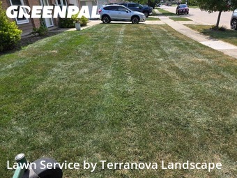 Lawn Cutin Elgin,60120,Lawn Maintenance by Terranova Landscape, work completed in Dec , 2025