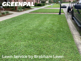 Grass Cut nearby Baton Rouge, LA, 