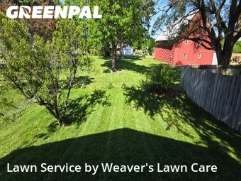 Grass Cut nearby Greenwood, IN, 
