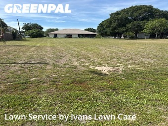 Grass Cut nearby Palm Bay, FL, 