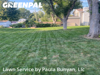 Lawn Mowing nearby Papillion, NE, 