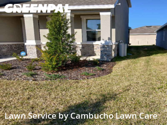 Lawn Mowing Service nearby Wimauma, FL, 