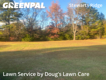 Lawn Maintenance nearby Wendell, NC, 