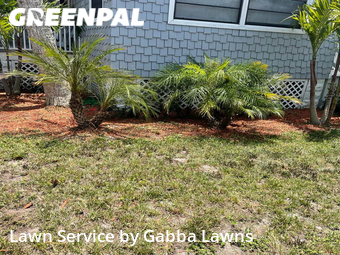 Lawn Maintenance nearby Daytona Beach, FL, 