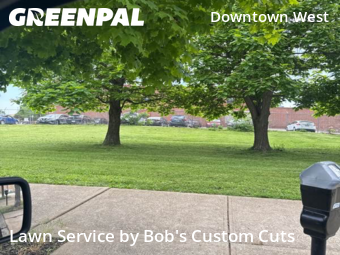 Yard Cutting nearby St. Louis, MO, 