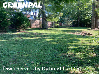 Lawn Cut nearby Nashville, TN, 