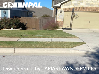 Landscaping Maintenance in Leander, 78641, Lawn Cutting by TAPIAS LAWN SERVICES, work completed in Nov , 2025