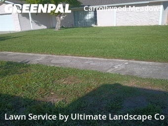 Commercial Landscaping In Tampa,33625,Landscaping Cleanup by Ultimate Landscape Co, work completed in Jul , 2026
