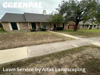 Grass Cuttingin The Colony,75056,Lawn Service by Alfas Landscaping, work completed in Nov , 2025