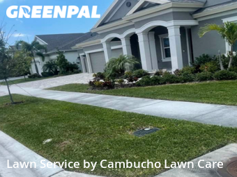 Grass Cut nearby Apollo Beach, FL, 