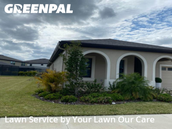 Lawn Mow nearby Lithia, FL, 