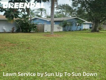 Lawn Cut nearby Clearwater, FL, 