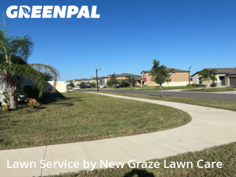 Yard Management in Sun City Center, 33573, Lawn Services by New Graze Lawn Care , work completed in Dec , 2025