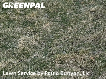 Lawn Servicein Bellevue,68005,Lawn Service by Paula Bunyan, Llc, work completed in Jun , 2026