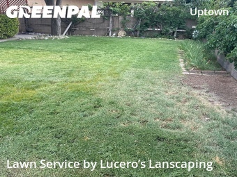Landscaping In Albuquerque,87110,Landscaping Installation by Lucero’s Lanscaping, work completed in Jun , 2026